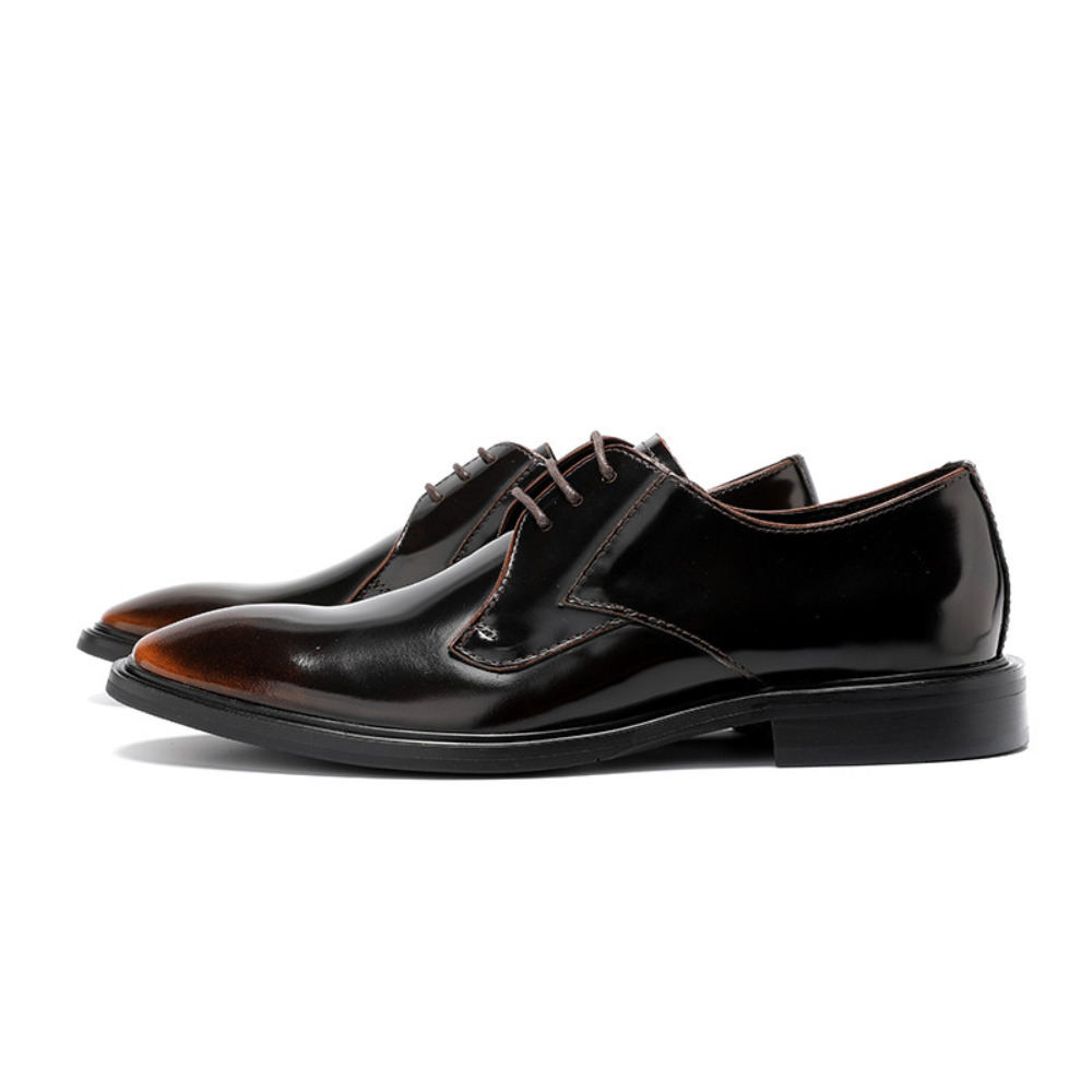 Men's British Pointed Toe Form - Leather Shoe Polish recension och pris